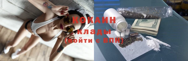 сатива Богородск