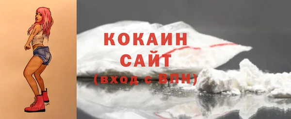 тгк Богородицк