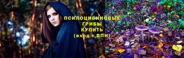 тгк Богородицк