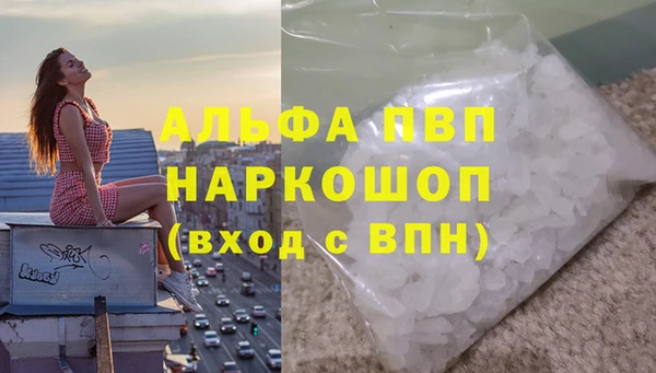 мяу мяу кристалл Богданович